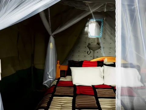 Nshongi Camp