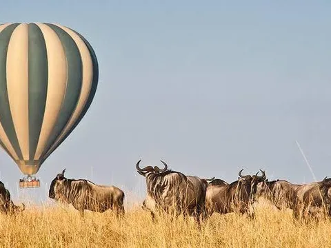 Journey Through Tanzania’s Wild Heart