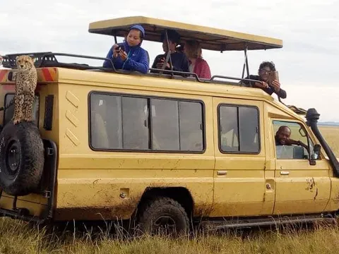 A 7-Day Classic Tanzania Journey