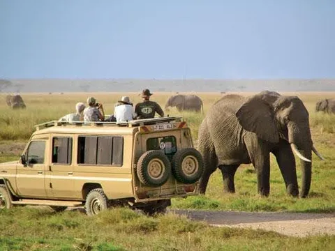 Uganda's Apex Adventure - 6N/7D days holiday package