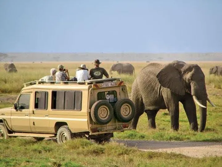 Uganda's Apex Adventure