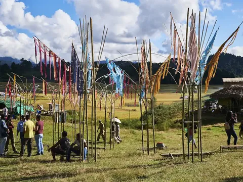 Ziro Festival Camping Escape