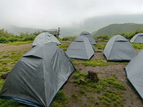 Campsite