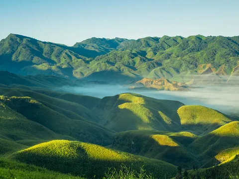 Experience Hornbill Festival and Naga Culture