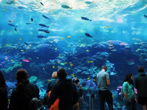 Adventure Trip to Singapore