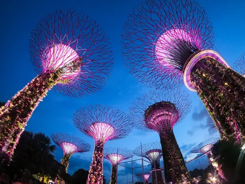 Adventure Trip to Singapore - 5N/6D days holiday package