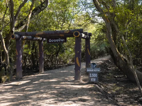 Creeks and Crocodiles