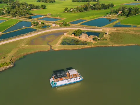 Mangrove Majesty of Eastern India