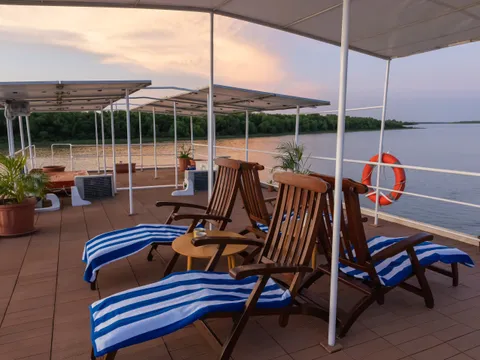 Mangrove Majesty of Eastern India