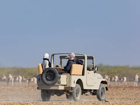 An Immersive Rann Experience