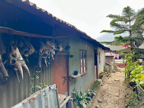 Nagaland Hiking and Heritage Journey