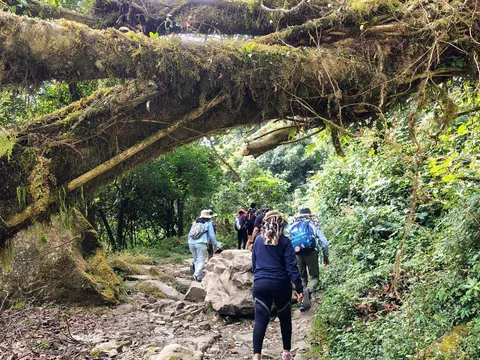 Nagaland Village, Culture and Heritage Trail