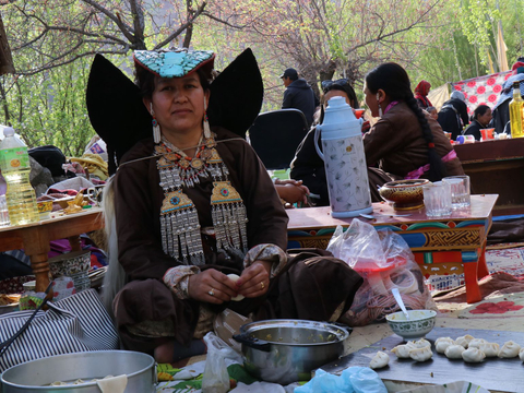 Apricot Blossom Season in Ladakh