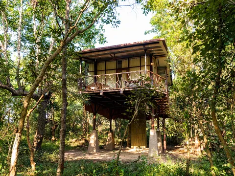Elevated Luxury Cottage