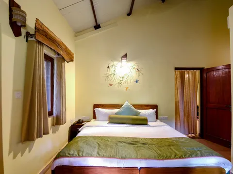 Triphala House
