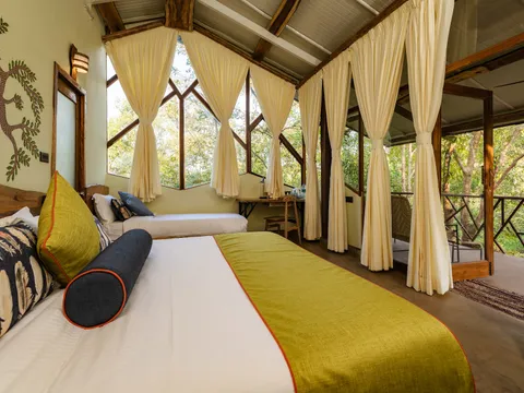 Elevated Luxury Cottage