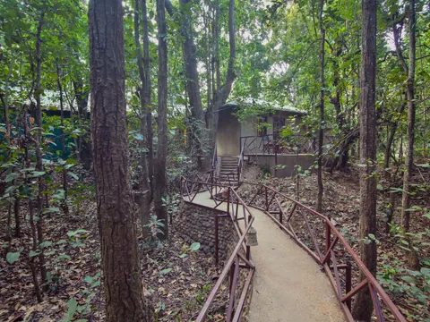 Triphala House