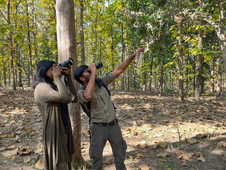 Rukhad Jungle Camp