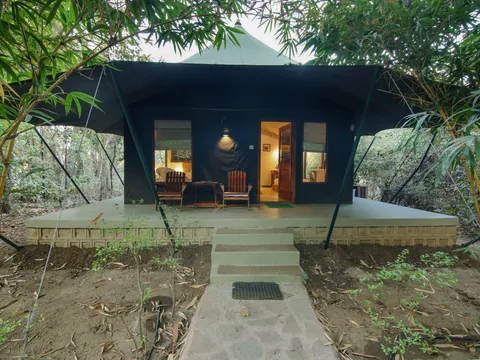 Luxury Safari Tent