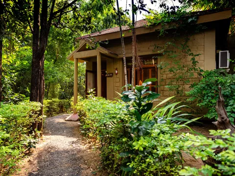 Pench Jungle Camp