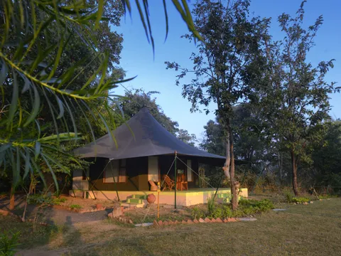 Pench Jungle Camp