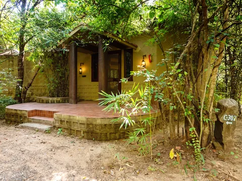 Pench Jungle Camp